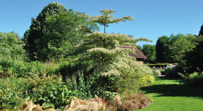 Création de Jardin et Plantations - Paysagiste à Pont l'Evêque